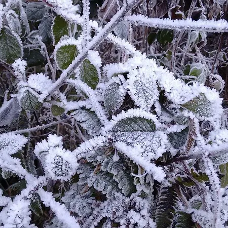 Apartment-studio Kirisits