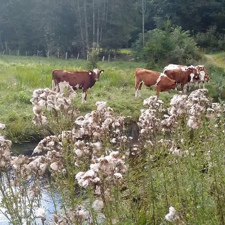 Apartment-studio Kirisits Mittersill