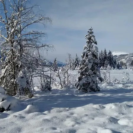 Apartament Apartment-studio Kirisits