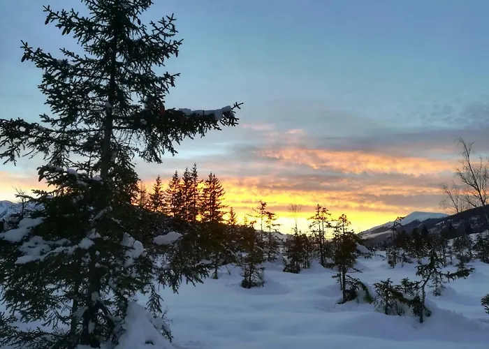 Apartment-studio Kirisits Apartament *