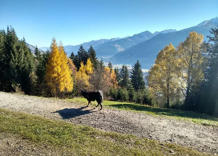 Apartment-studio Kirisits Mittersill