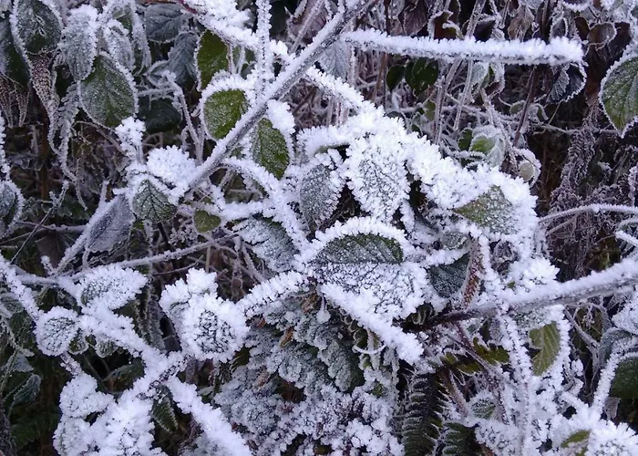 Apartment-studio Kirisits