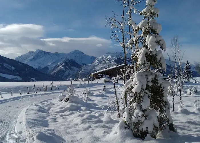 Apartment-studio Kirisits