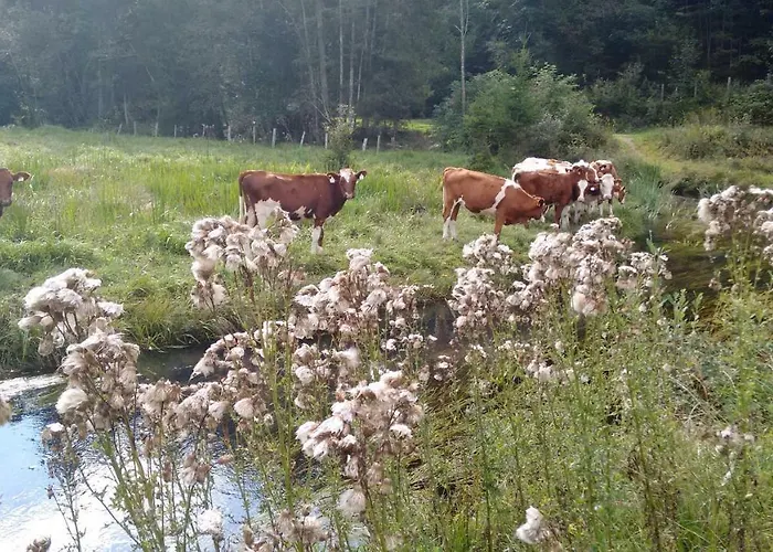 Apartment-studio Kirisits Mittersill