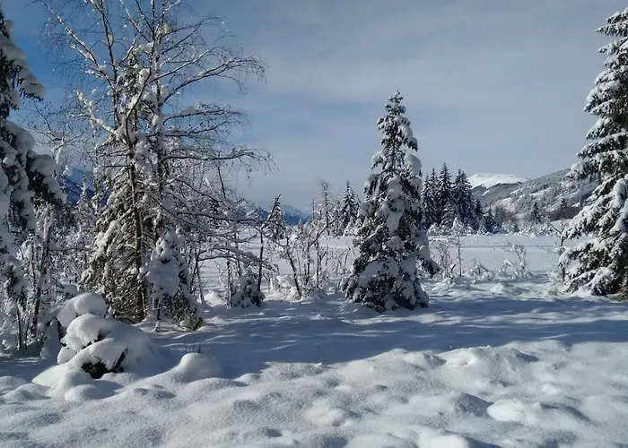 Apartament Apartment-studio Kirisits