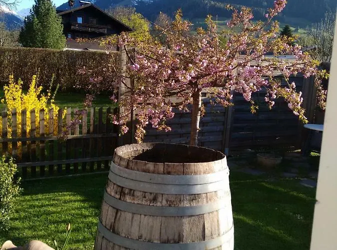 Apartament Apartment-studio Kirisits *